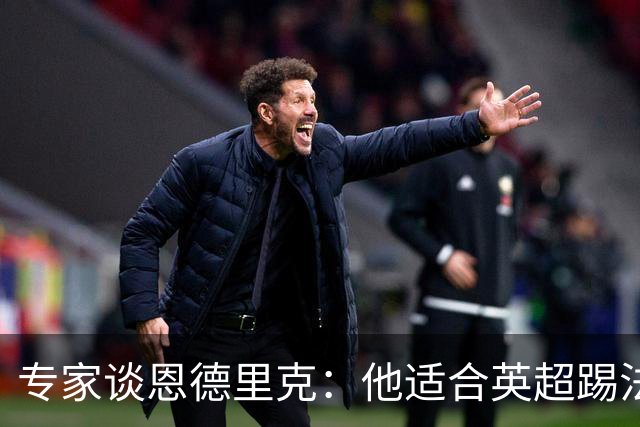 专家谈恩德里克：他适合英超踢法，英超球队该考虑询问他的情况